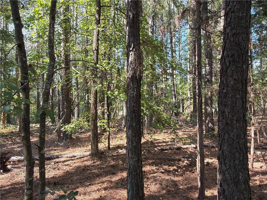 107 Popham Rd., Taylorsville, GA 30178