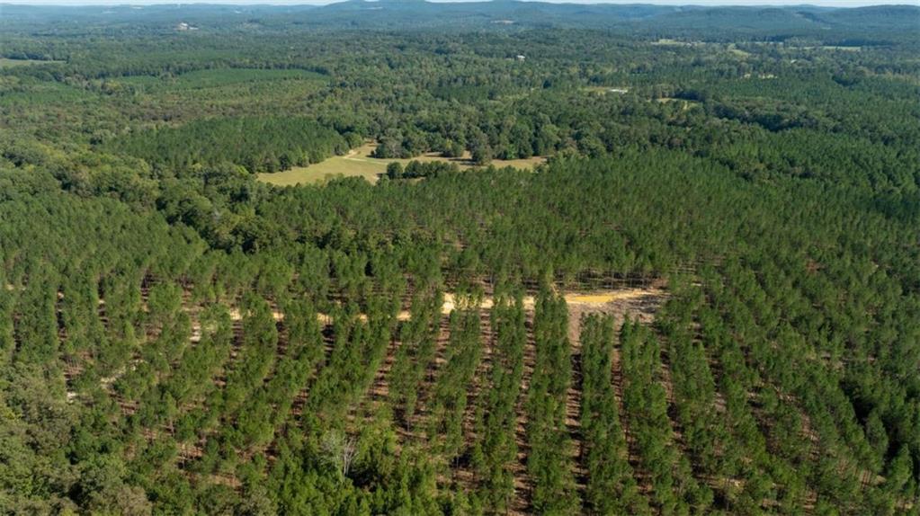 SW Livingston Rd, Rome, GA 30161