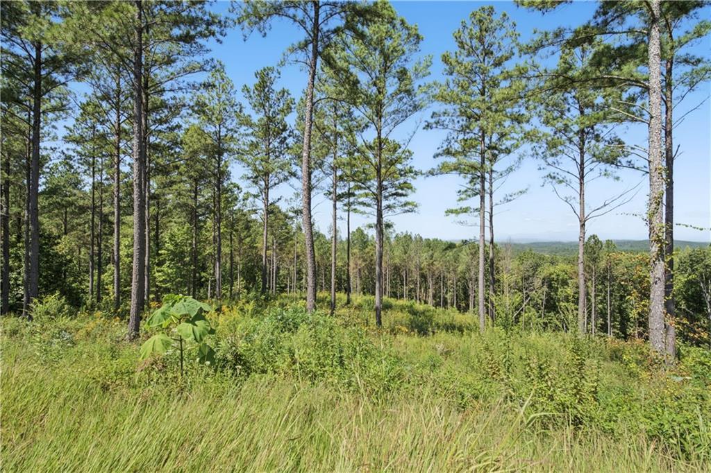 Lacey Springs Lane, Ellijay, GA 30540