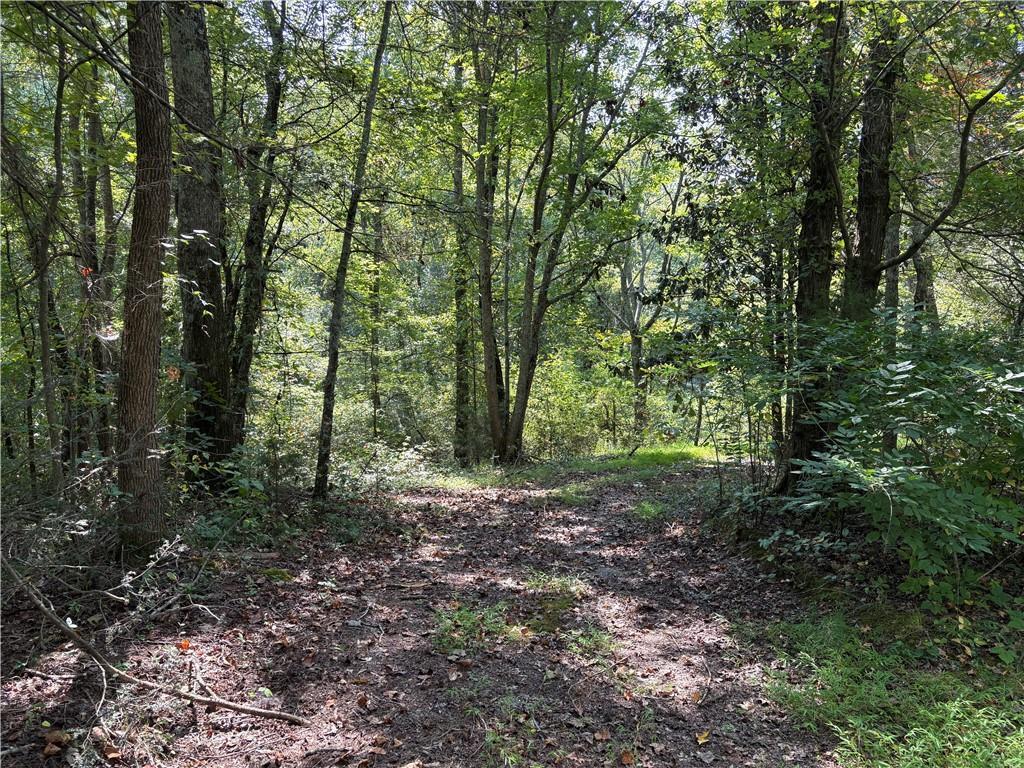 6485 Forsyth Dr., Cumming, GA 30028