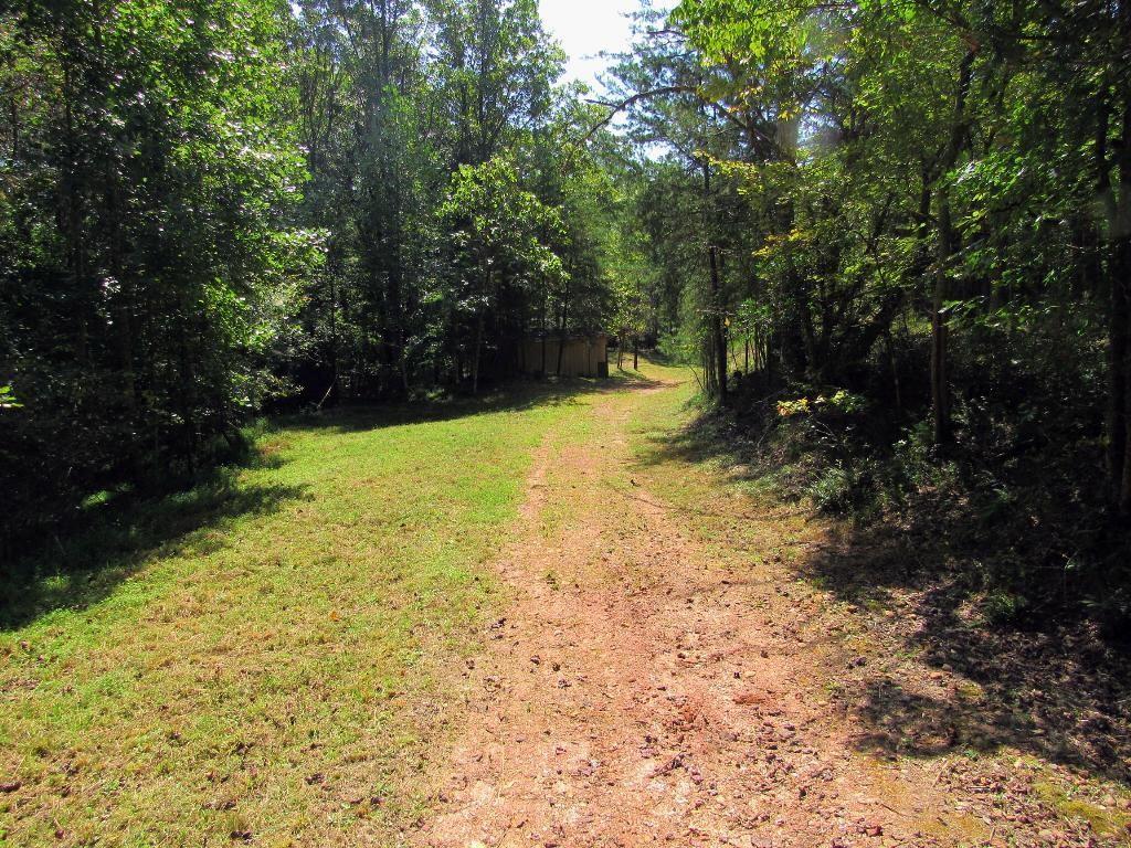 343 Hollybrook Rd., Dahlonega, GA 30533