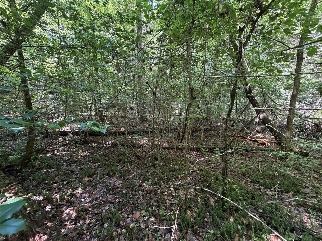 Alpine Dr., Sautee Nacoochee, GA 30571