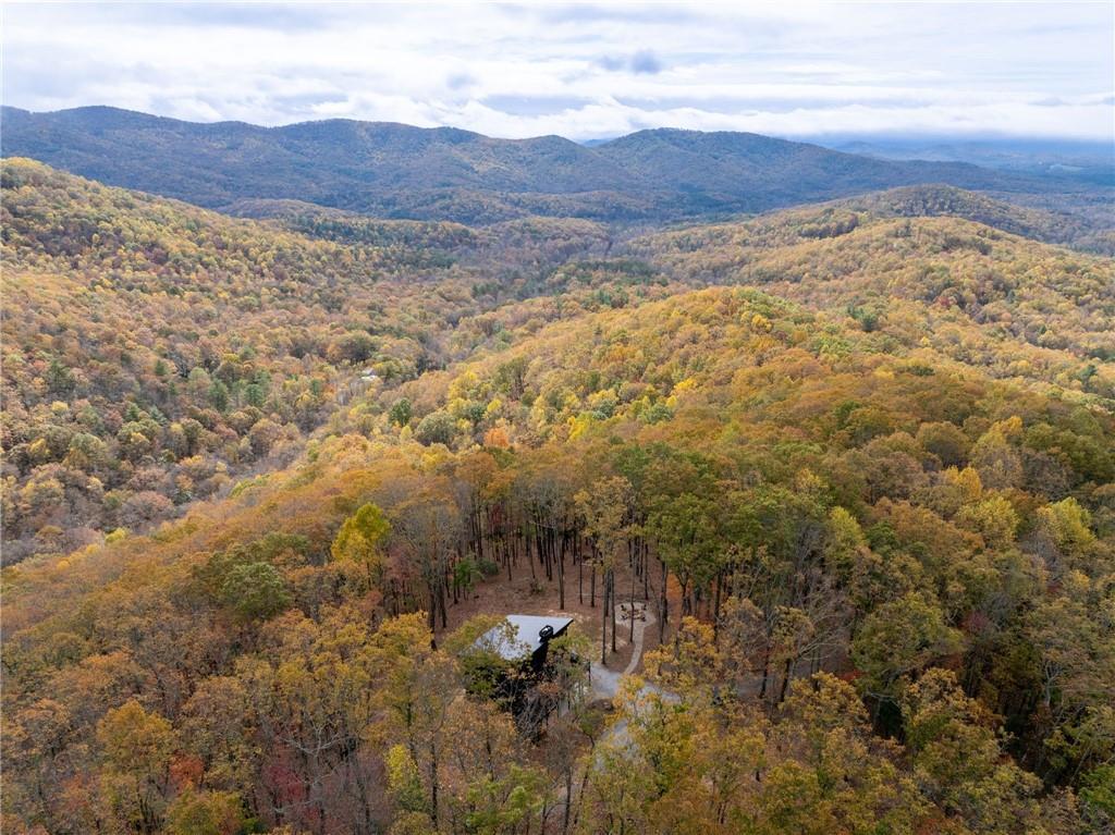 1250 Lost Forest Rd., Ellijay, GA 30536