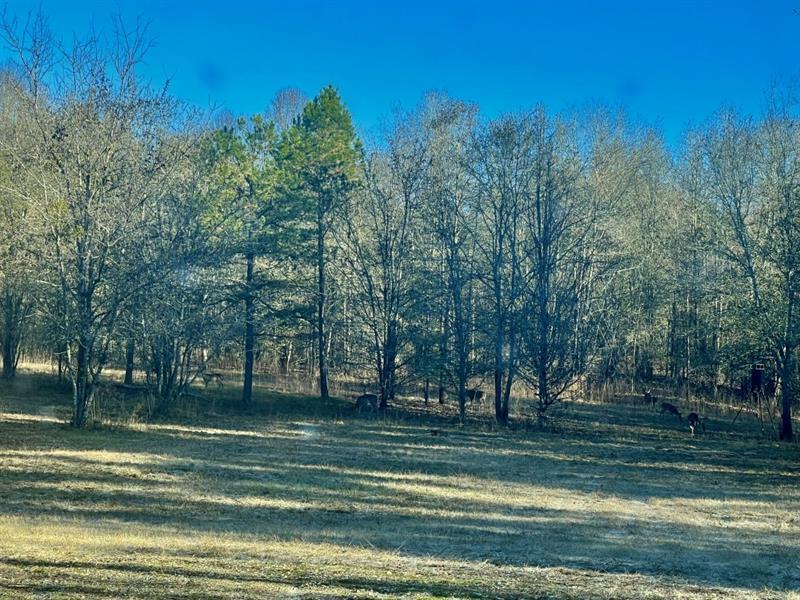 1072 Ford Rd., Jefferson, GA 30549