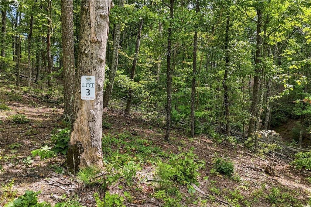 3 Turkey Spur Dr., Ellijay, GA 30540