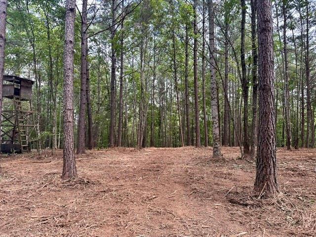 130 Patriot View Dr., Dahlonega, GA 30533