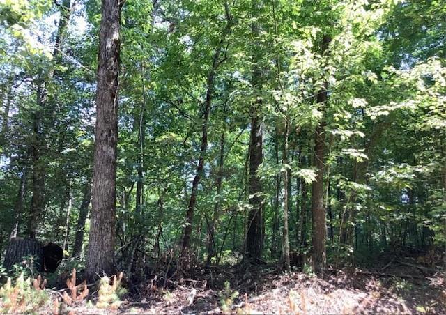 William Sluder Rd., Ellijay, GA 30540