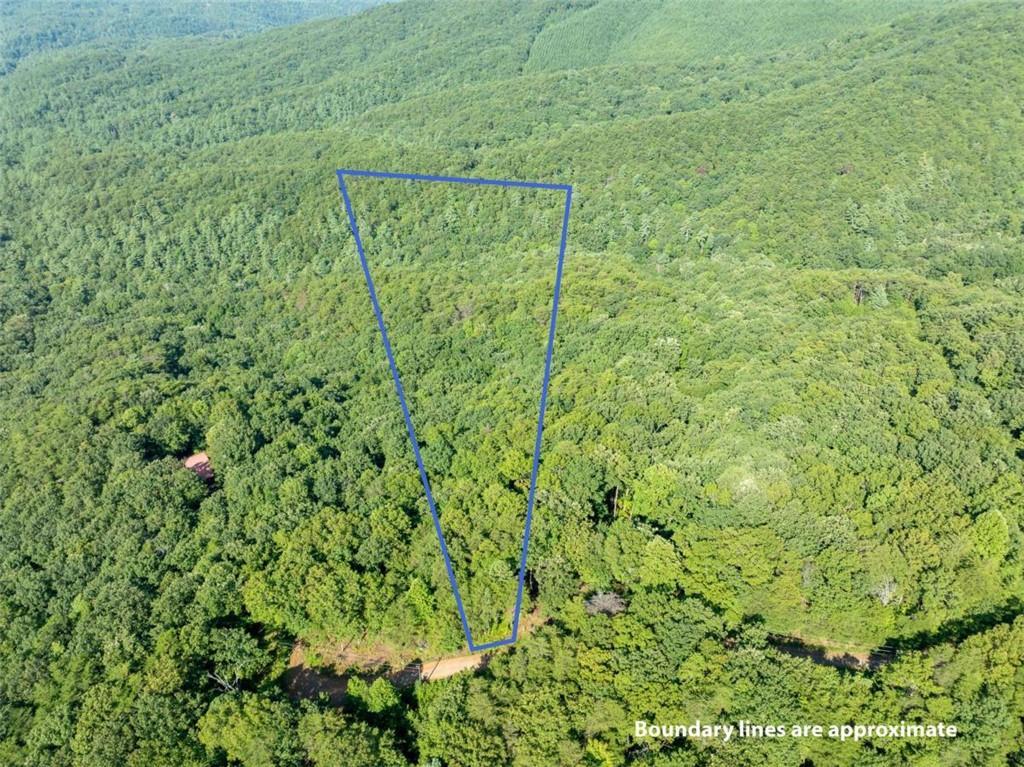 LOT 9 Brushy Top Dr., Chatsworth, GA 30705