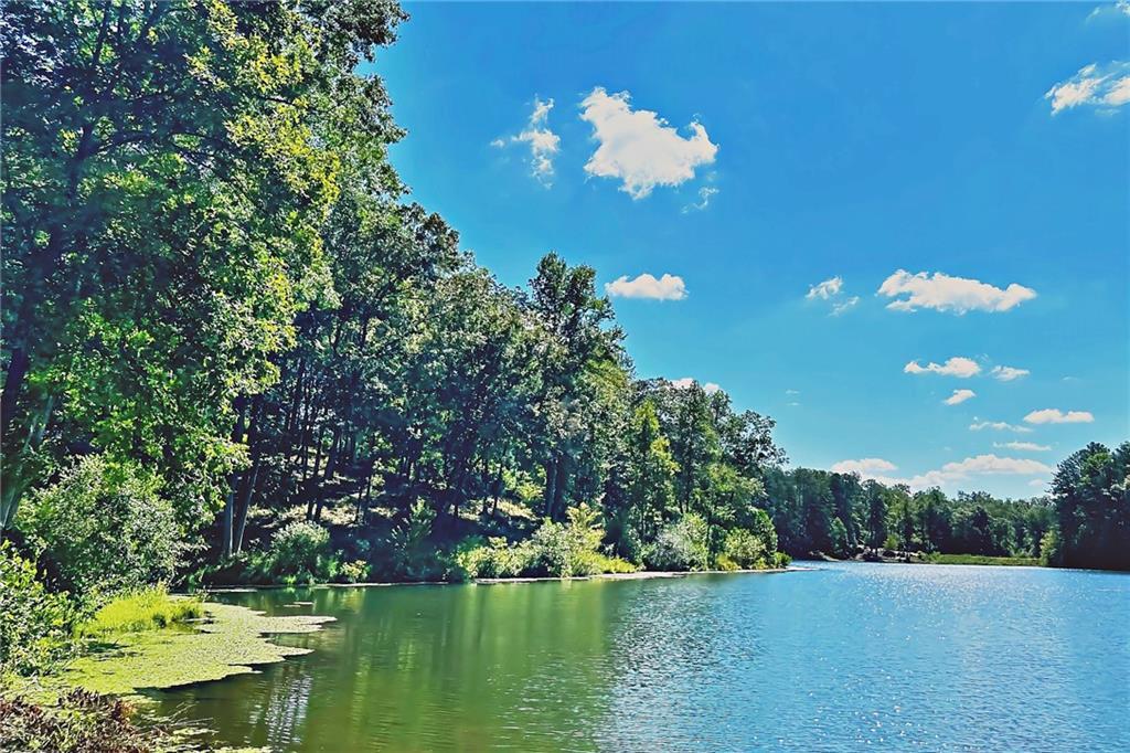 Pinnacle Dr., Ellijay, GA 30540