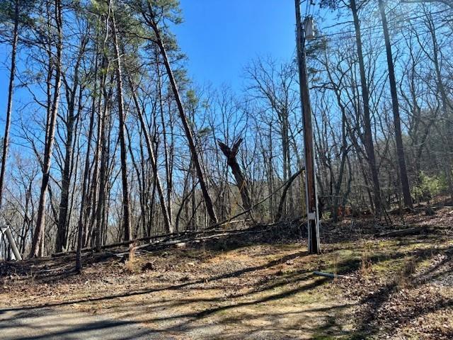 125 Gum Wood Ct., Waleska, GA 30183