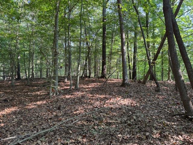 340 Jesse Martin Trail, Canton, GA 30115