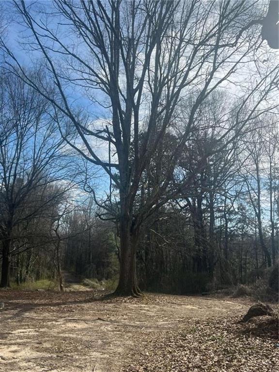 98 Pine Shadows Dr., Dallas, GA 30157