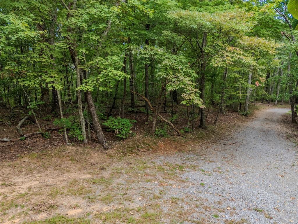 Clearview Dr., Jasper, GA 30143