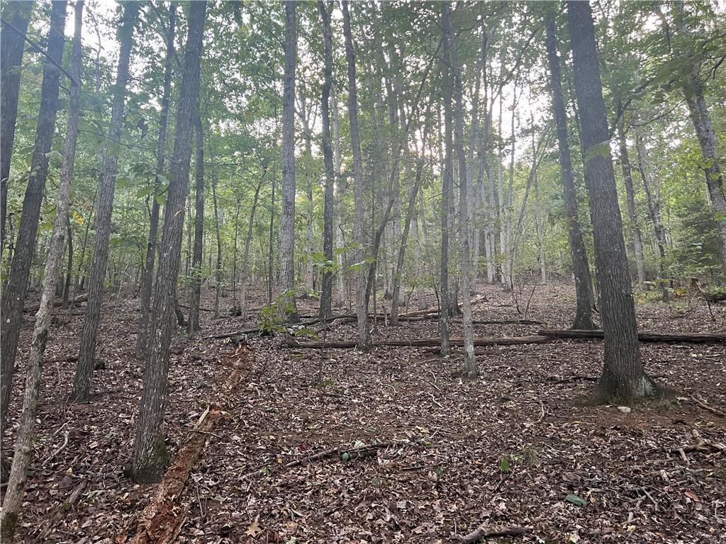 Rockfence Rd., Adairsville, GA 30103