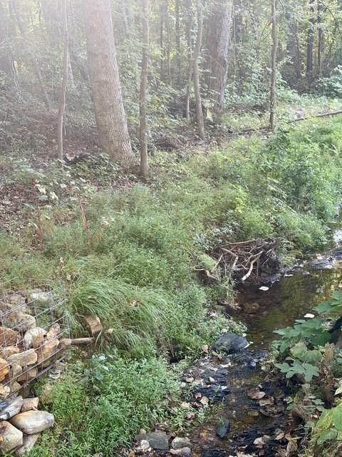 Old Roanoke Rd., Bowdon, GA 30108
