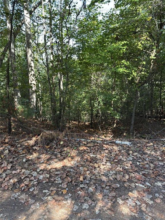946 Aurora Ln., Ranger, GA 30734