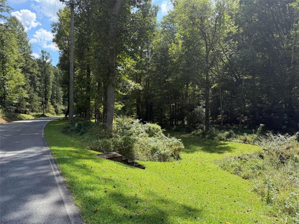 6.13Ac Lucius Rd., Cherry Log, GA 30522