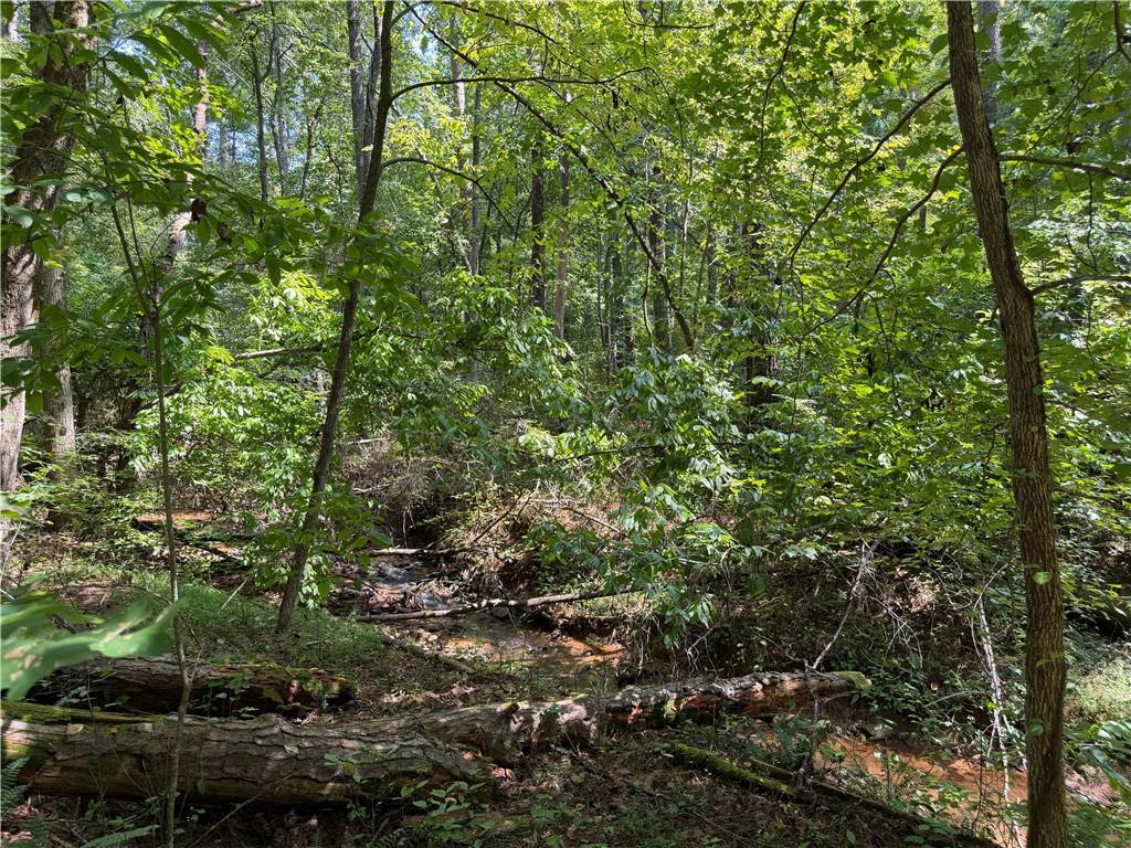 LT 32 Mission Hill Rd., Ellijay, GA 30540