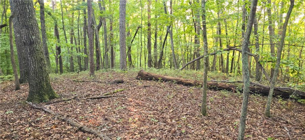 LOT 20 Seye Wailo Tr., Clarkesville, GA 30523