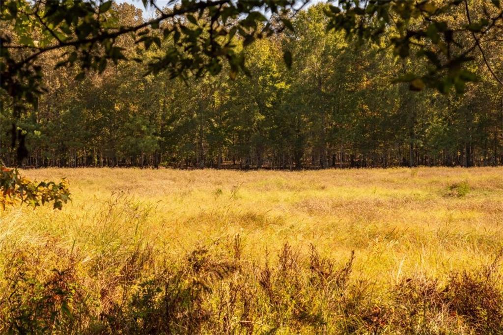 TRACTS Livingston Rd Sw, Rome, GA 30161