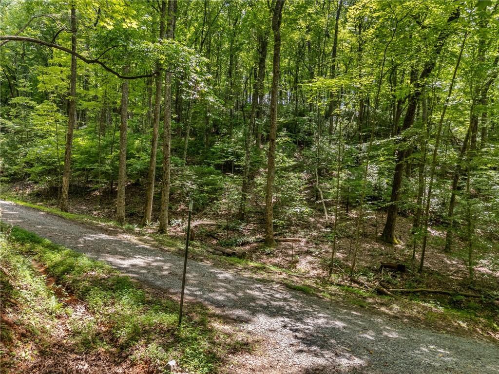 Jagger Run, Blue Ridge, GA 30513