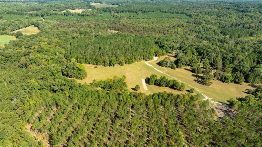 Livingston Rd Sw, Rome, GA 30161