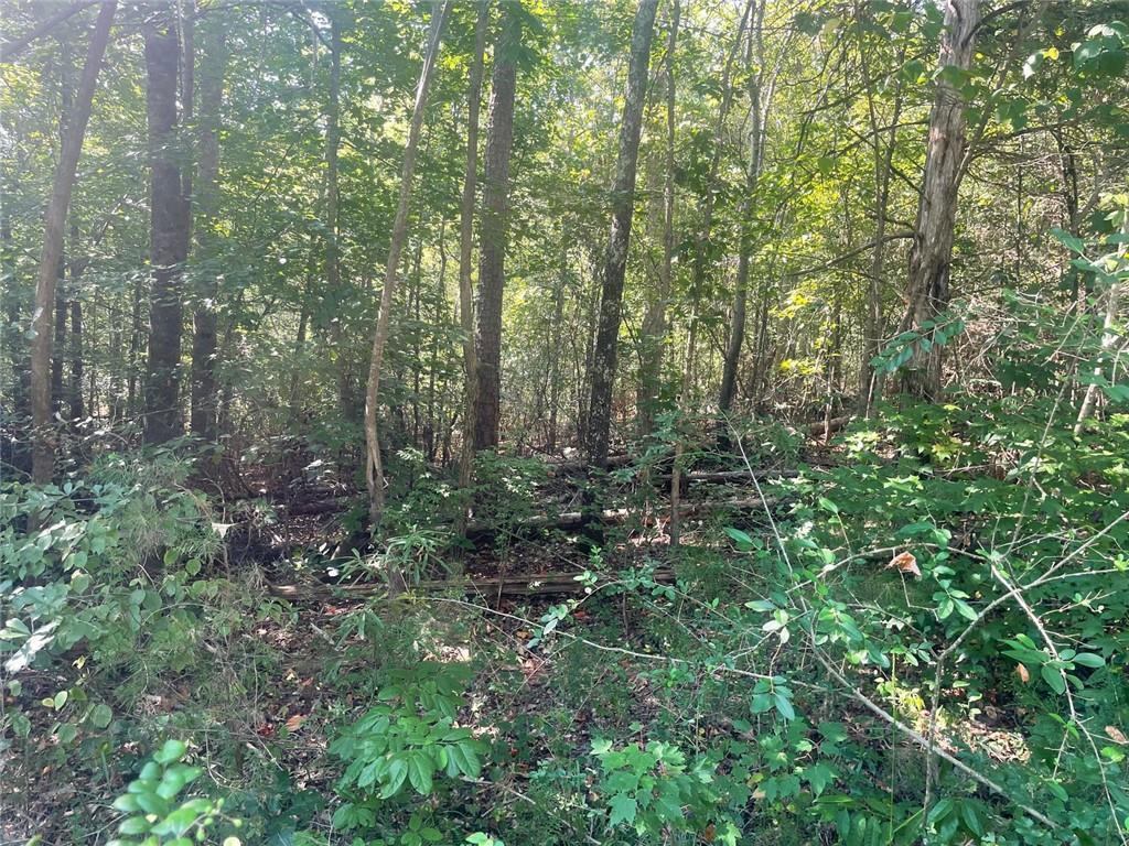 Apache, Martin, GA 30557