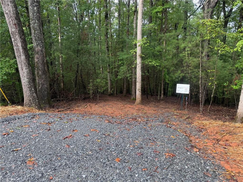 204 Hart Ct., Ellijay, GA 30540