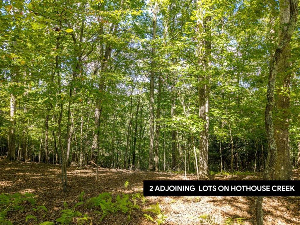 LT 27/ Donna Lee Ln., Mineral Bluff, GA 30559