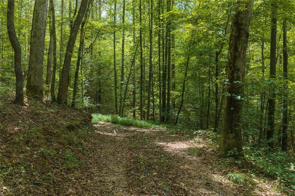 300 Sumac Ln., Ellijay, GA 30540