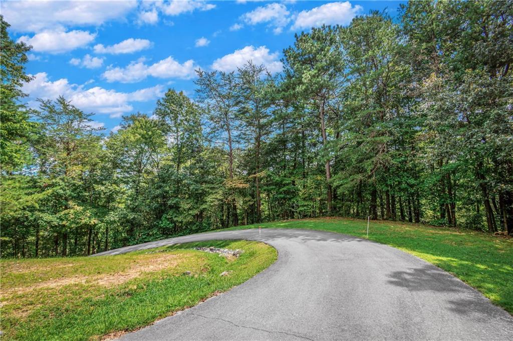LT103R Mountain Creek Hollow Dr., Talking Rock, GA 30175