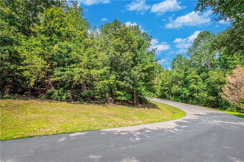 LT104 Mountain Creek Hollow Dr., Talking Rock, GA 30175