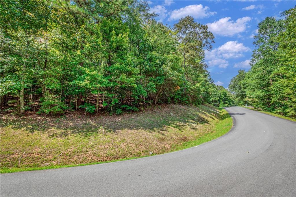 4.7AC Mountain Creek Hollow Dr., Talking Rock, GA 30175