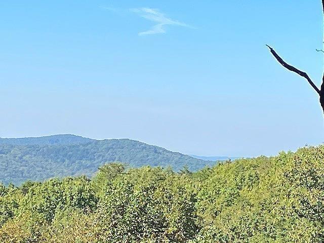 Piney Spur Rd., Ellijay, GA 30536