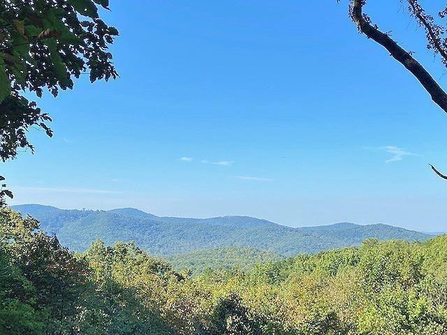 Hunters Ridge Rd., Jasper, GA 30143