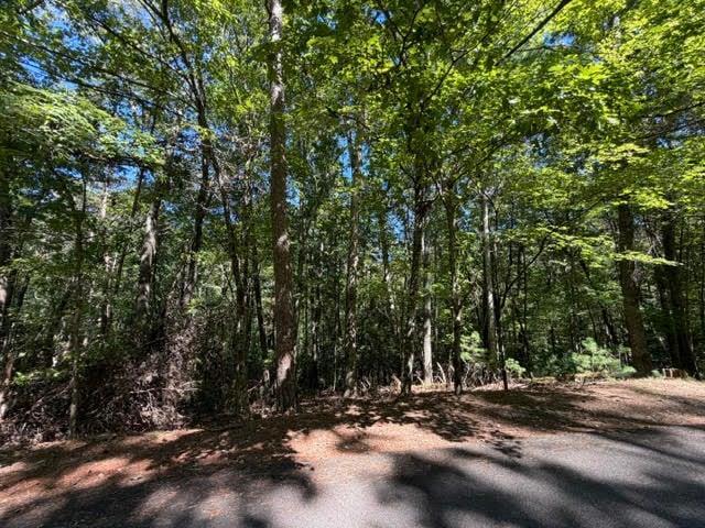305 Seneca Drive, Ellijay, GA 30540
