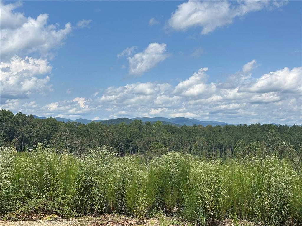 Larmon Forks Rd., Dahlonega, GA 30533