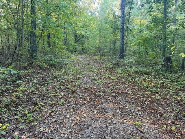 Owensby Ln., Adairsville, GA 30103