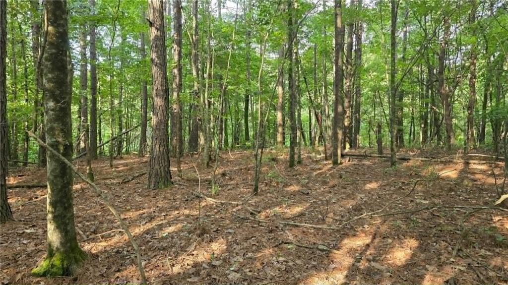 2 Lucas Ln., Dallas, GA 30132