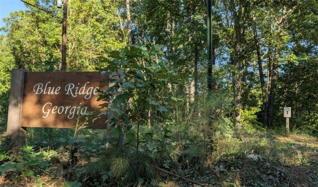 LOT 1 White Oak Cir., Blue Ridge, GA 30513