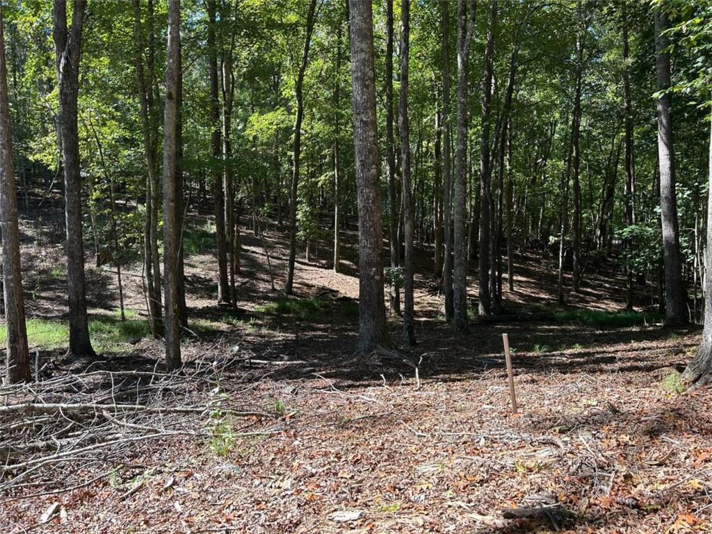 Lt 533 Eagle Mountain Dr., Ellijay, GA 30540