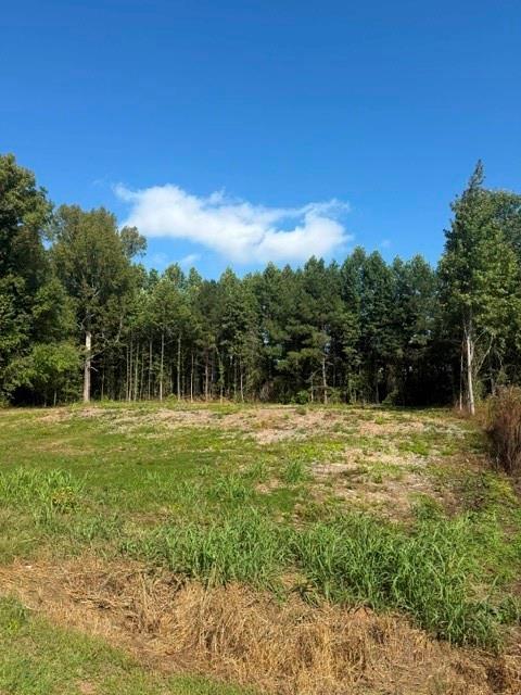6712 Cleveland Hwy., Clermont, GA 30527