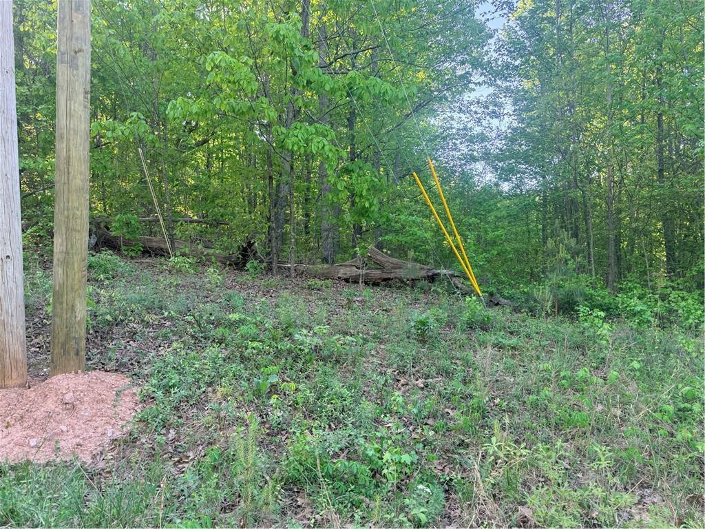 0000 Mountain View Cir., Bremen, GA 30110