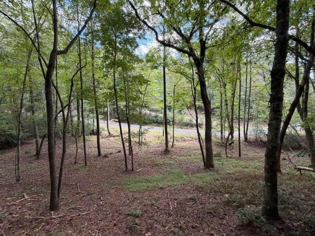 133 Seneca Drive, Ellijay, GA 30540