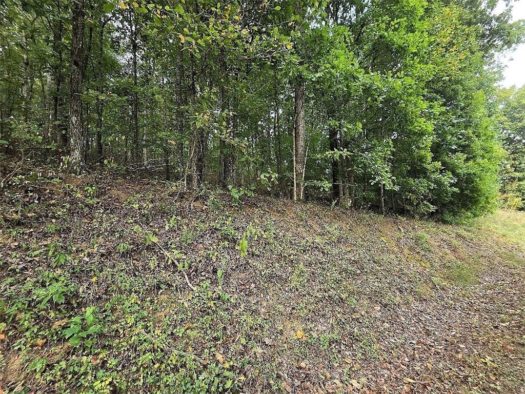 Big Oak Tree Rd., Adairsville, GA 30103