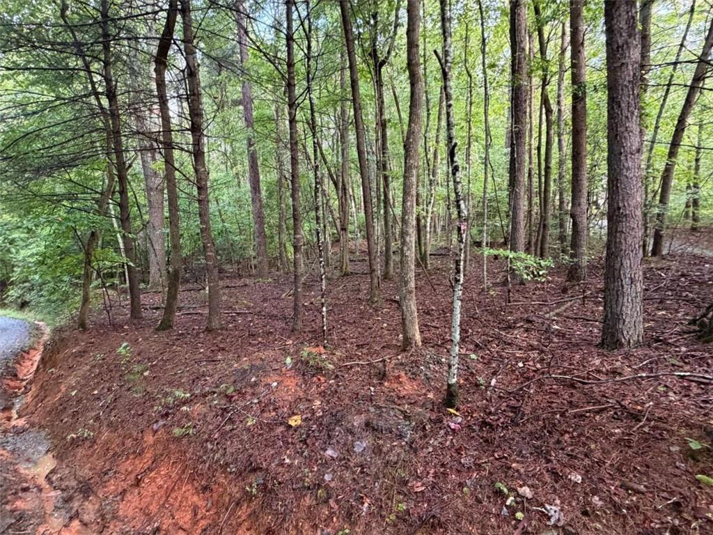 Peach Ln., Ellijay, GA 30536