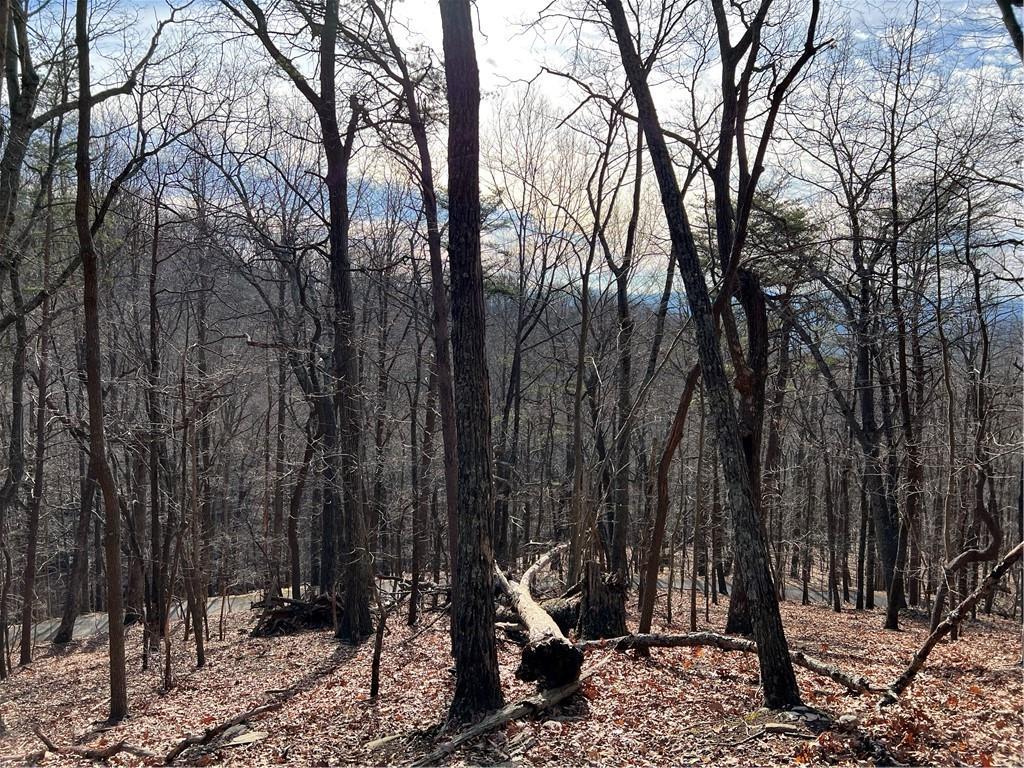 4528 Sassafras Mountain Tr., Jasper, GA 30143