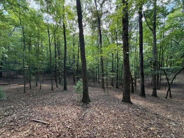 556 Satsuma Ct., Ellijay, GA 30540