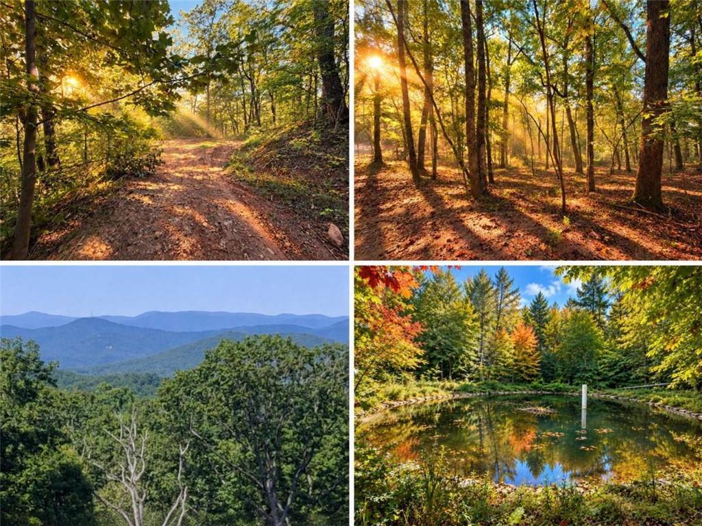 14.06 Old Burnt Mountain Rd., Ellijay, GA 30536