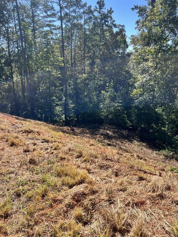 LT 229 Woodstone Tr., Ellijay, GA 30540